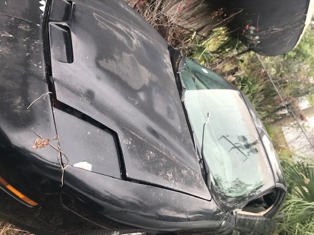 1995 Pontiac Firebird's photo